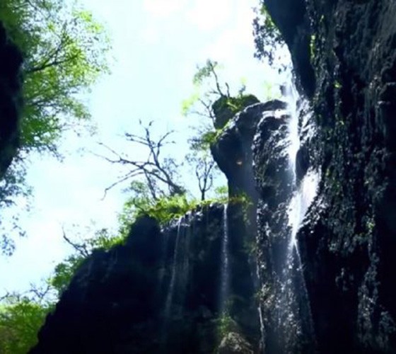 青山綠水，白龍江畔江畔息白鷺，兩岸綠橄欖入眼的都是純樸自然枝上花開(kāi)，春來(lái)水暖魚(yú)蝦戲水，鳥(niǎo)語(yǔ)花香心中充滿(mǎn)著舒暢之感祥宇生態(tài)產(chǎn)業(yè)園，位于隴南市武..